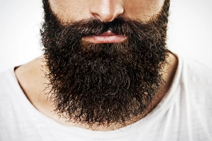 Männer mit Bart nur bart