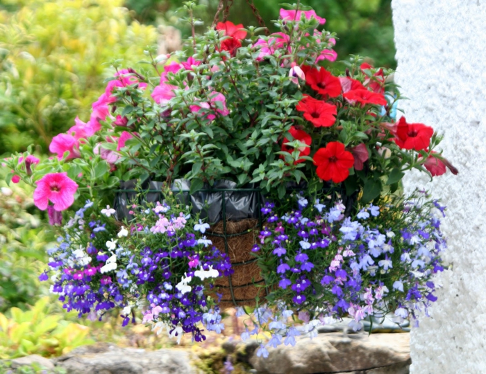 Die Schnsten Hngeblumen Fr Den Balkon Mein Schner Garten