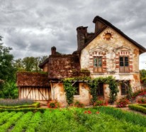 Der Cottage Garten – ein wildes Gartenparadies im Englischen Stil