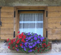 Sommerliche Fensterdeko – stilvolle Blumenideen für Ihre Fassade im Sommer