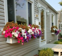 Sommerliche Fensterdeko – stilvolle Blumenideen für Ihre Fassade im Sommer