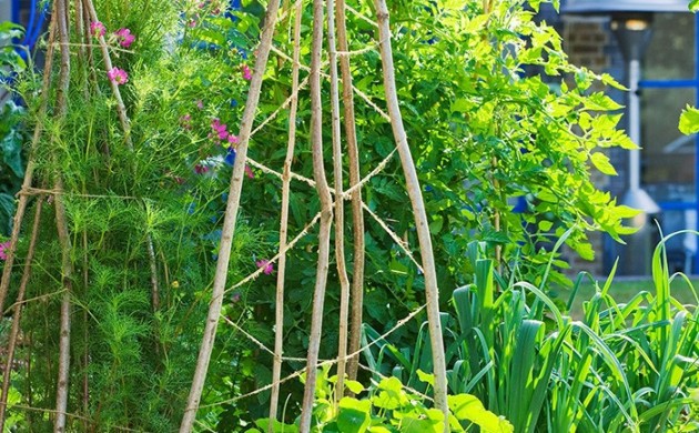 Garten & Pflanzen - über 1000 Ideen für Gartengestaltung und