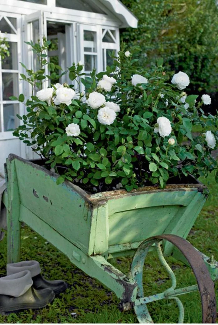 gartenideen vintage stil garten pflanzen weiße rosen