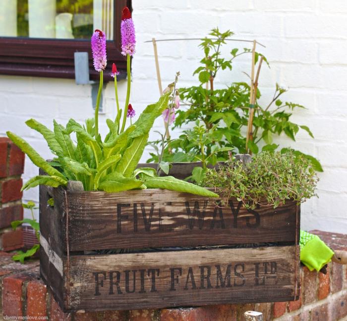 Aus Holzkisten lassen sich praktische Möbel und Wohnartikel anfertigen