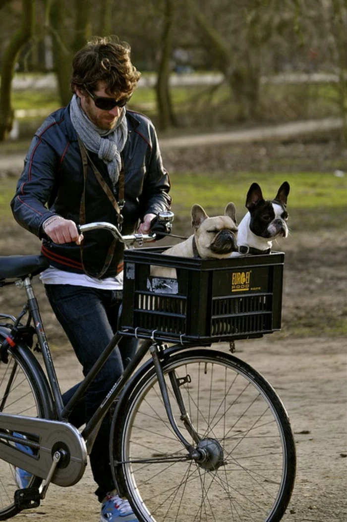 hundekorb fahrrad diy ideen zwei hunde
