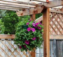 Hängepflanzen für Balkon – Welche Pflanzen sind auf den Balkon zu hängen