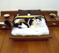 Originelle Katzenmöbel – schenken Sie Ihrer Katze mehr Spaß und Ruhe!