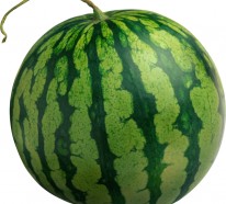 Wassermelone- die Sommerfrucht der Götter