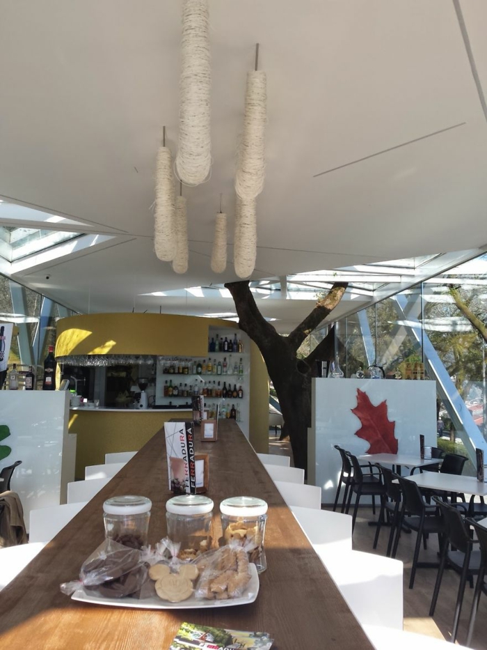 Klassische moderne Architektur um einen baum herum restaurant