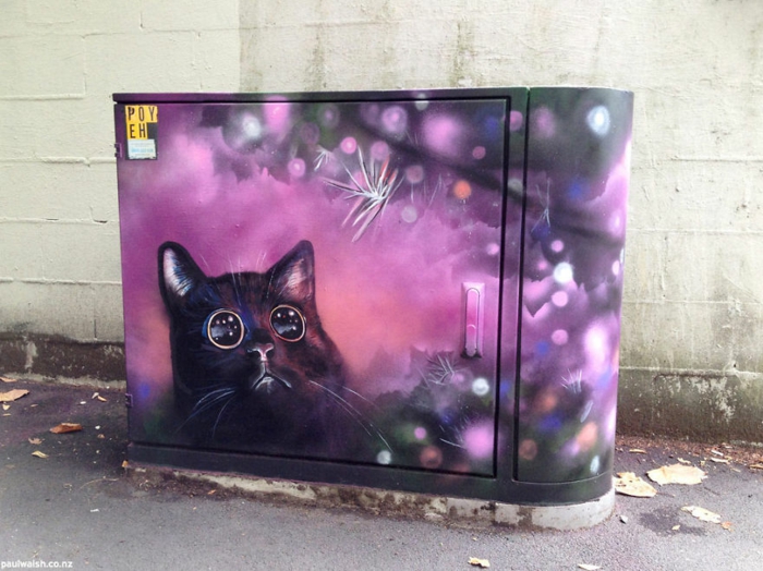 Street art Künstler shiny cat