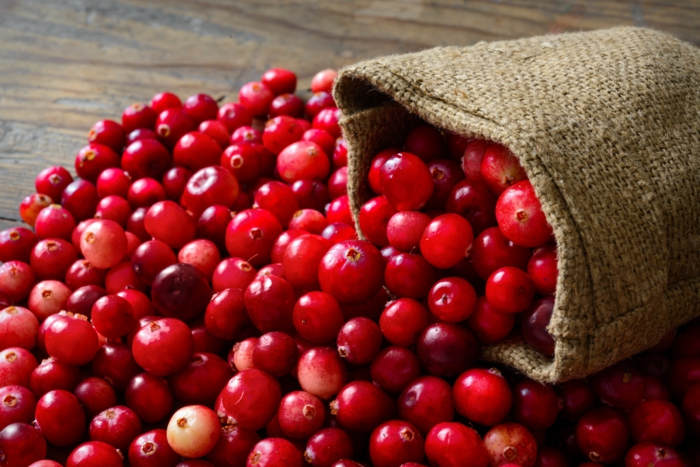 Was sind Cranberries frucht menge haufen