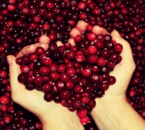 Was sind Cranberries? Lernen Sie die gesunde Frucht kennen!