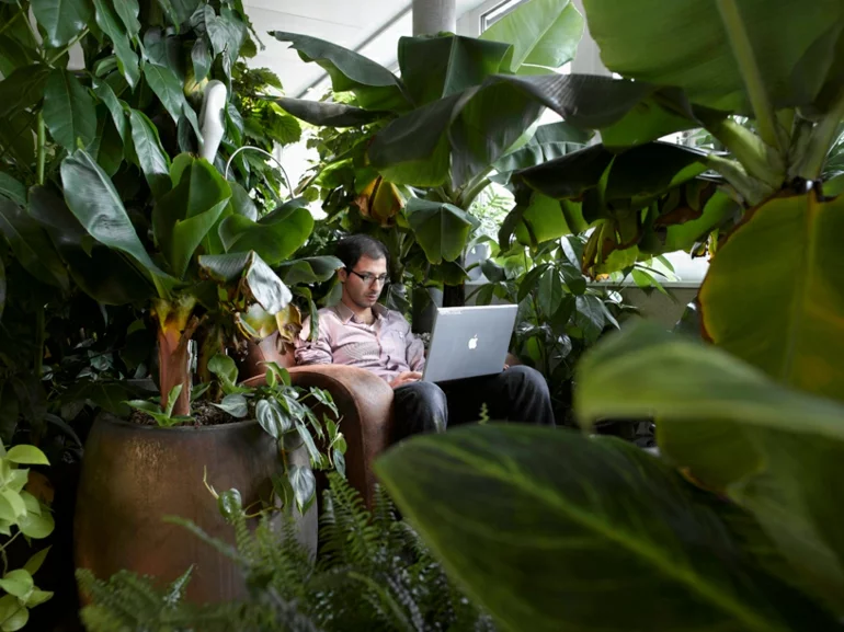 büroeinrichtung google zurich stress am arbeitsplatz grüne oase