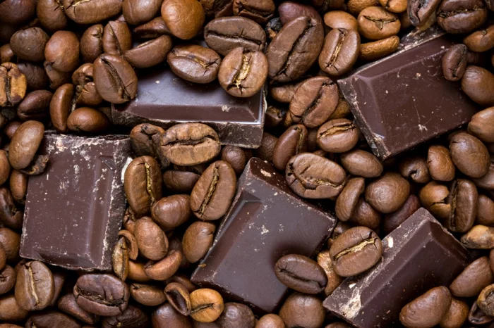 kaffee kalorien dunkle schokolade