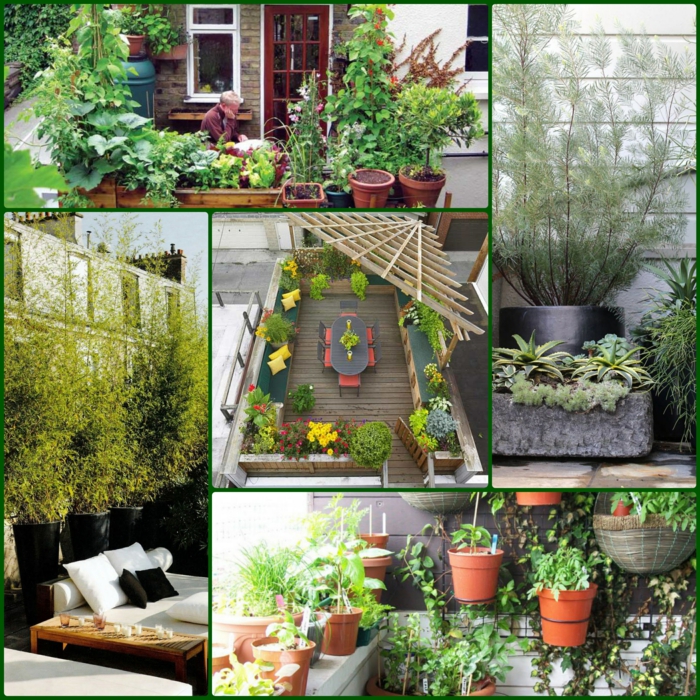 terrassenbepflanzung beispiele balkonpflanzen grüne terrassengestaltung