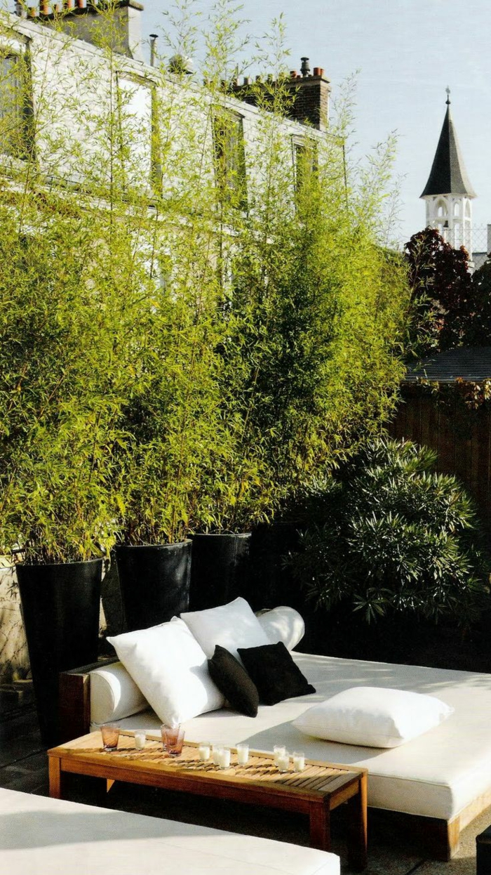 terrassenbepflanzung möbel und balkonpflanzen lebendiger sichtschutz