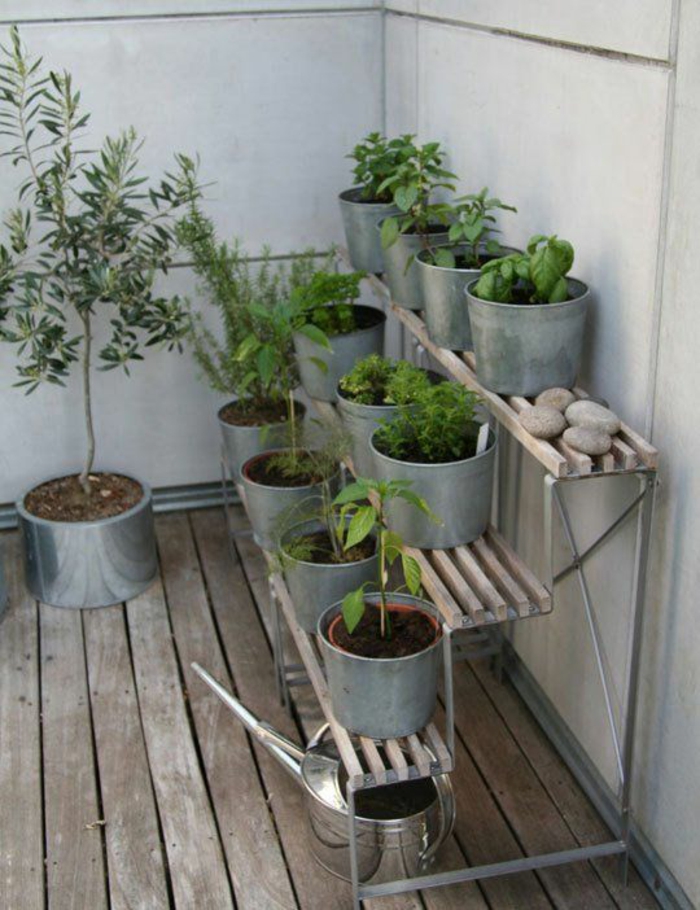 terrassenbepflanzung möbel und balkonpflanzen topfpflanzen eimer