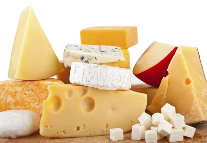 Gesunde Ernährung für Kinder milchprodukte käse