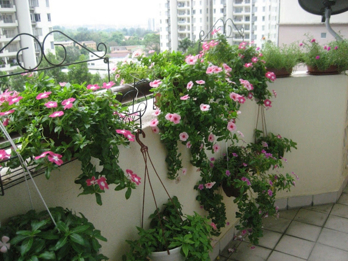balkongestaltung ideen dekorieren pflanzen blumen
