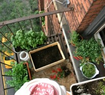 Bio Garten auf der eigenen Terrasse einrichten