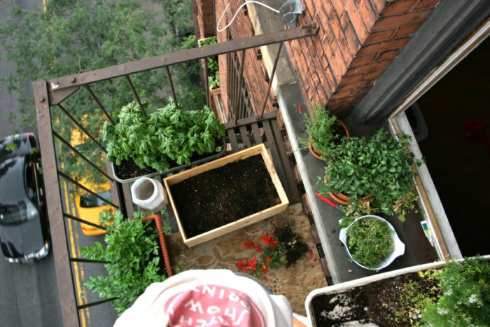 bio garten gestalten kleiner balkon gemüse