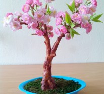 Bonsai Baum Pflege – Sorgen Sie für eine schöne Pflanze