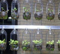 Clevere Gartengestaltung - Tipps und Tricks zum Raumsparen