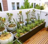 Hochbeet im Garten – Eine schöne Idee, wie Sie den Garten gestalten