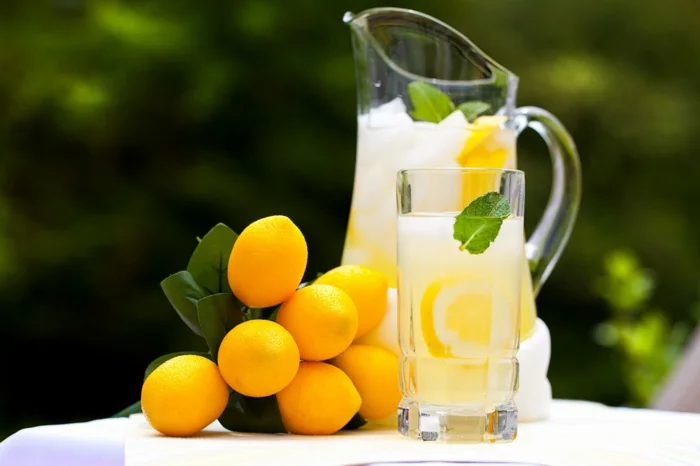 limonade selber machen frische minze kanne