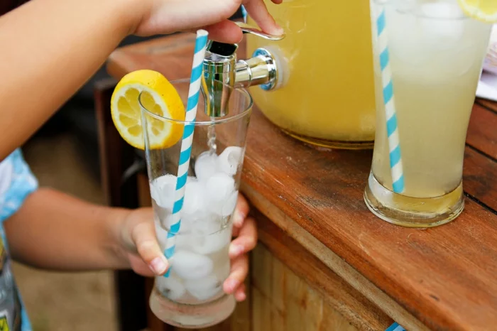 limonade selber machen kalt getränk vitamine
