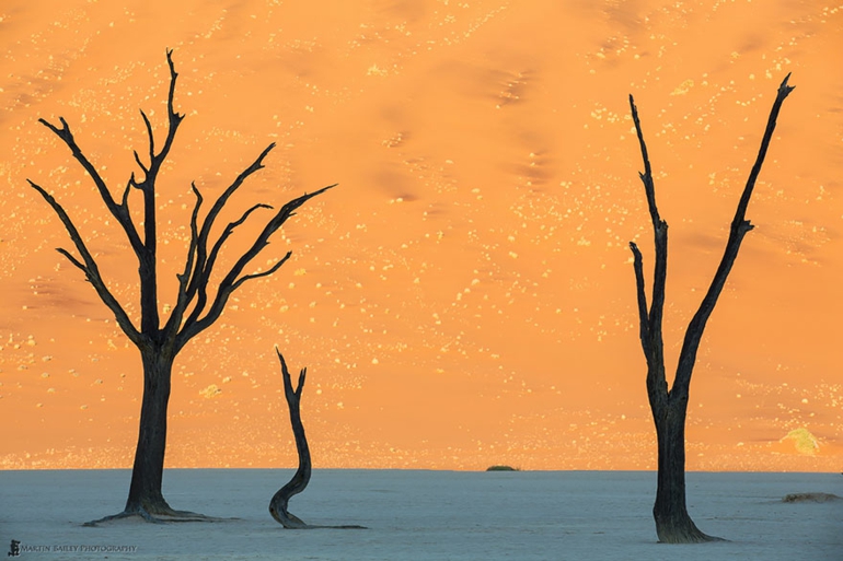 optische täuschungen bilder schöne naturbilder wüste namibien