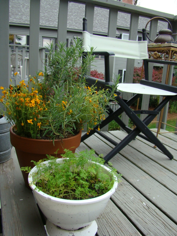 terrasse gestalten gemüse balkonmöbel außenbereich
