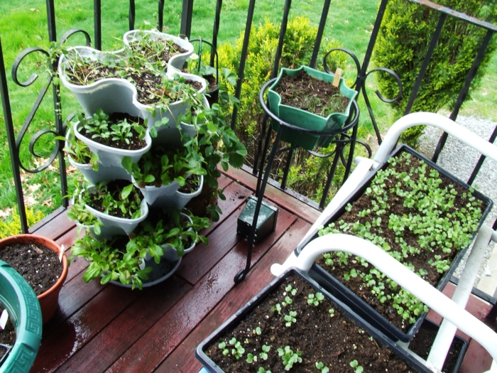 terrasse gestalten ideen gemüse züchten