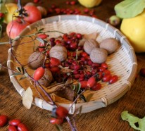 Hagebutten- die gesunden Früchte des Herbstes