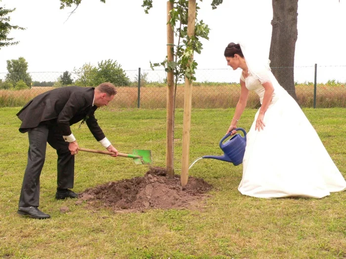 Hochzeit planen ehebaum einplfanzen