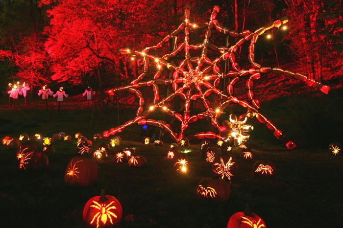 Ideen für Halloween spinnengewebe
