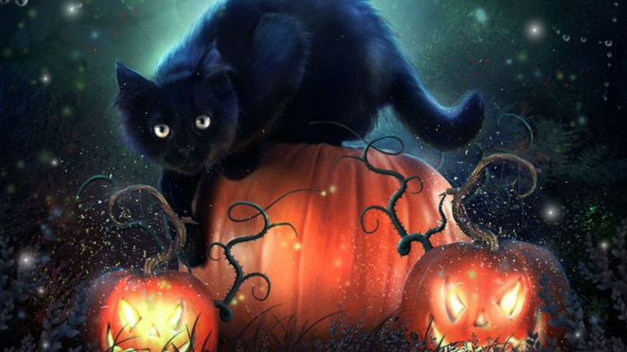 Ideen für Halloween schwarze katze Ideen für Halloween deko halloween geschichte kuerbislaterne basteln