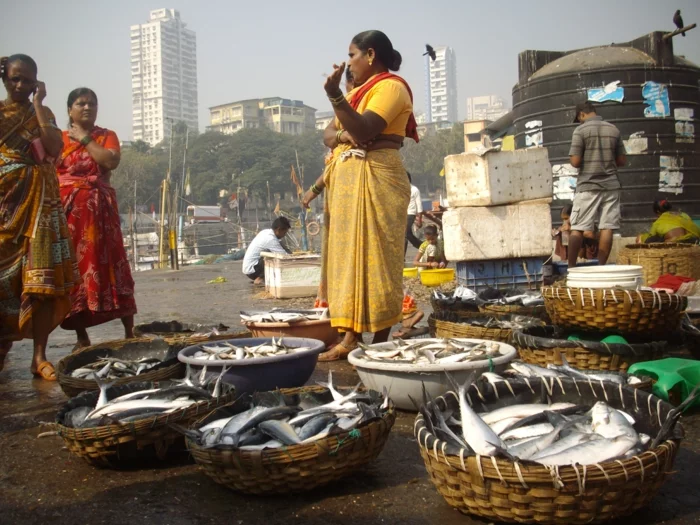 bombay indien mumbai fischermarkt