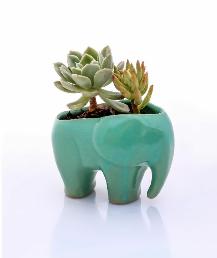 elefanten-figuren-topfpflanzen-deko-elefant-kübel