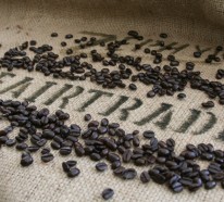 Warum Sie sich für Fairtrade Schokolade entscheiden sollten