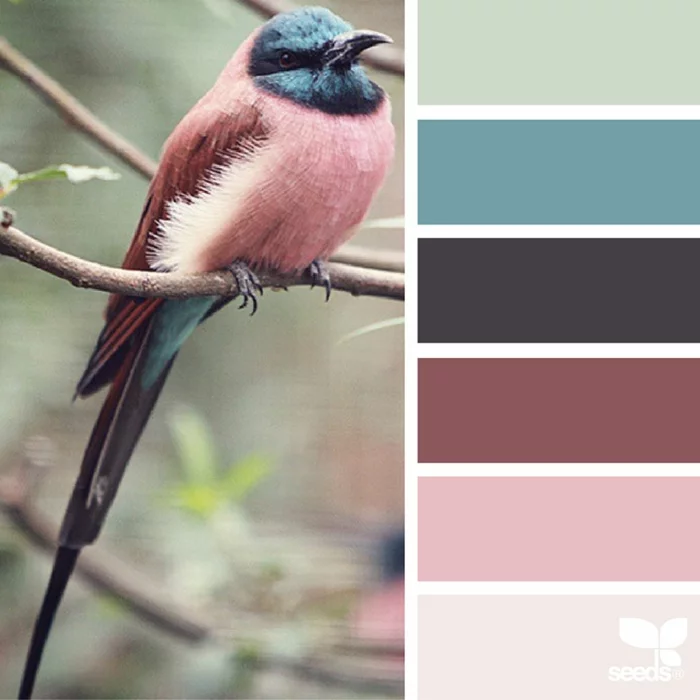 farbpalette vogelfarben @magimare