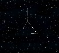 Horoskop Krebs: Wie stehen die Sterne für Sie?