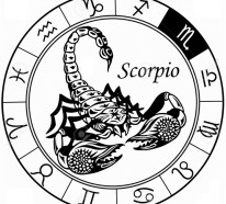 Horoskop Skorpion: Das sagen die Sterne im Herbst 2015
