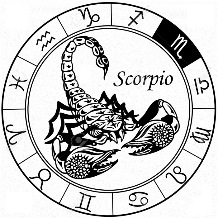 horoskop skorpion herbst 2015 sternzeichen skorpion