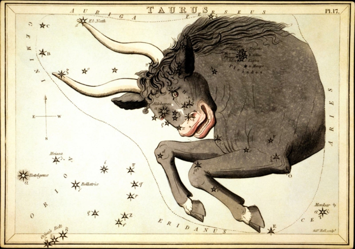 horoskop stier herbst 2015 sternzeichen stier