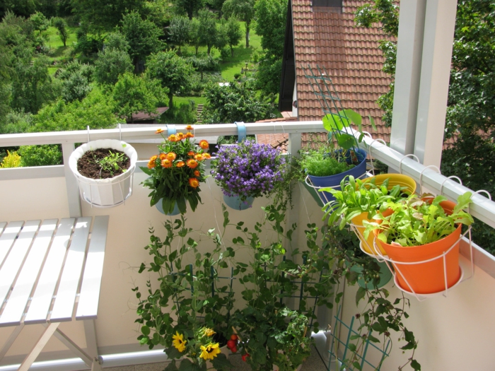 kübelpflanzen balkon dekoideen balkongeländer balkontisch