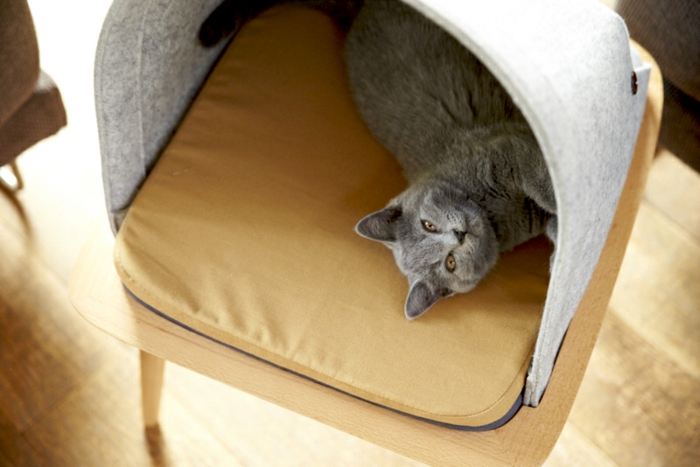 Katzenmöbel von Meyou sind zugleich schicke Wohnaccessoires - Meyou Katzenm%C3%B6bel Von Guillaume GaDenne