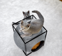 Katzenmöbel von Meyou sind zugleich schicke Wohnaccessoires
