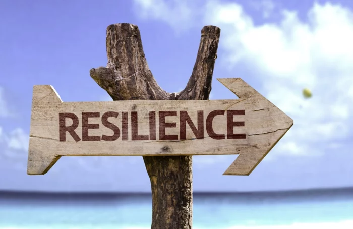 resilienz definition den weg finden