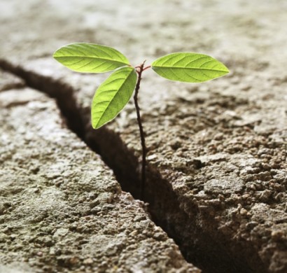 Was ist Resilienz und warum brauchen wir diese Fähigkeit?